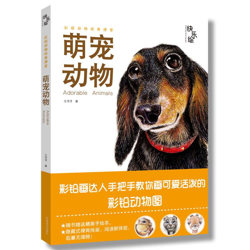 快乐绘 萌宠动物