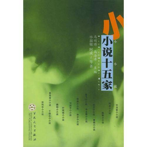 小小说十五家