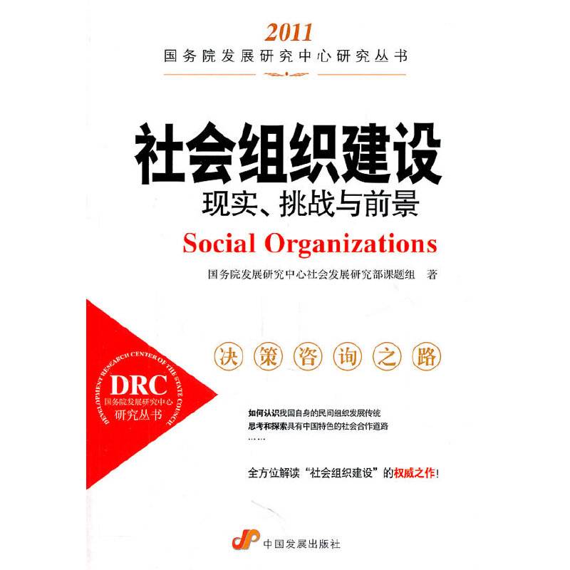 社会组织建设：现实、挑战与前景