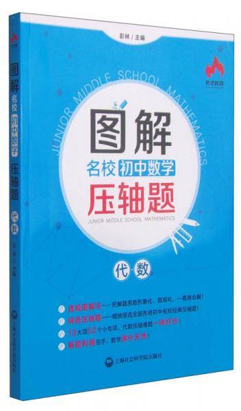 图解名校初中数学压轴题（代数）
