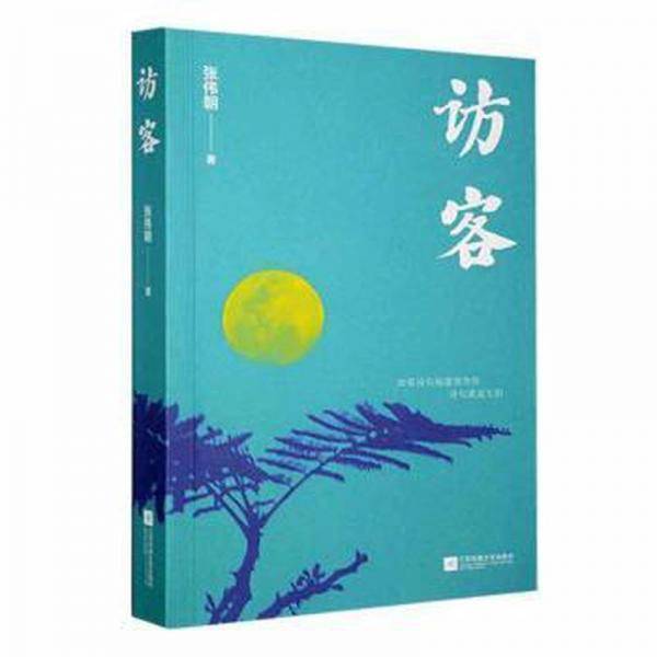 访客张伟超江苏凤凰文艺出版社9787559476562