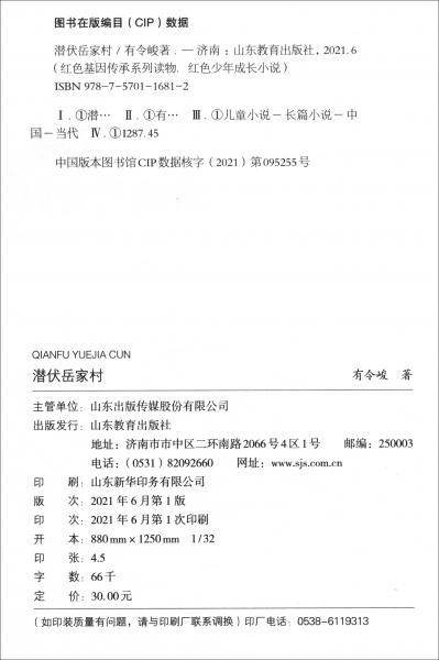 潜伏岳家村红色少年成长小说