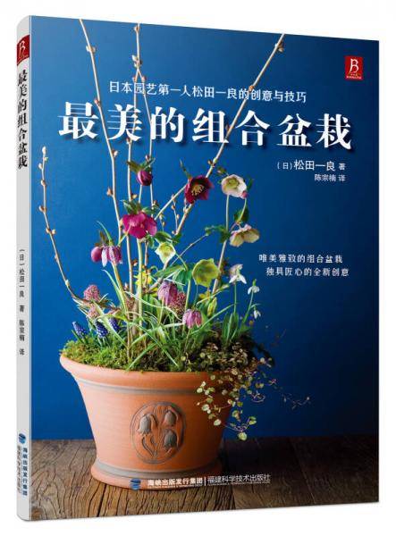 最美的组合盆栽