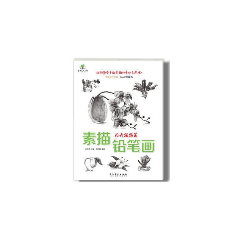 素描铅笔画· 花卉植物篇