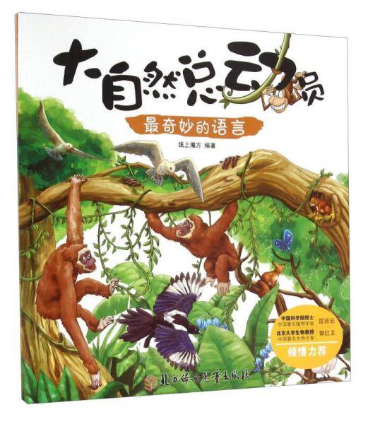 最奇妙的语言