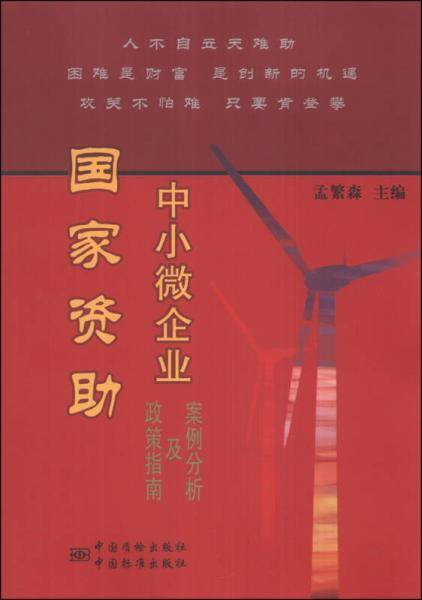 国家资助中小微企业政策指南及案例分析