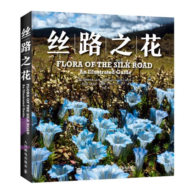 丝路之花
