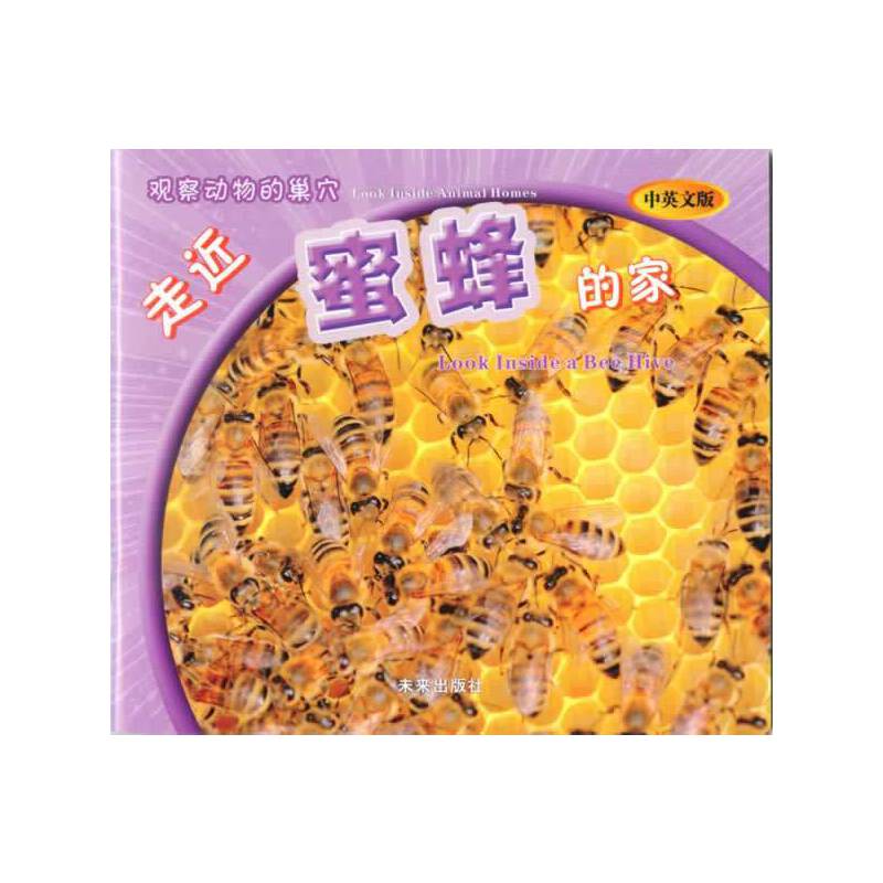 观察动物的巢穴：走近蜜蜂的家