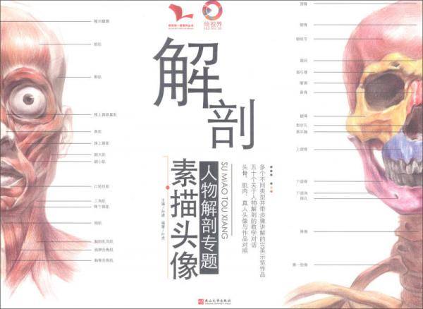 解剖：素描头像/我有我一套系列丛书