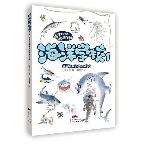 海洋学校：鲨鱼班和长喙班的矛盾