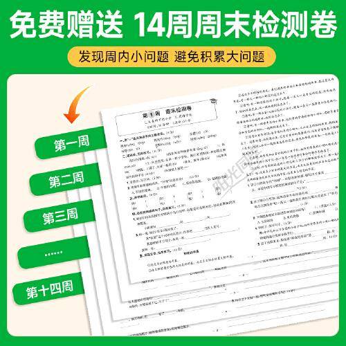 2025秋阳光同学提优新卷三年级语文人教版上册试卷测试卷小学3年级单元期中末试卷练习册题