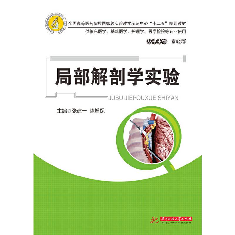 局部解剖学实验