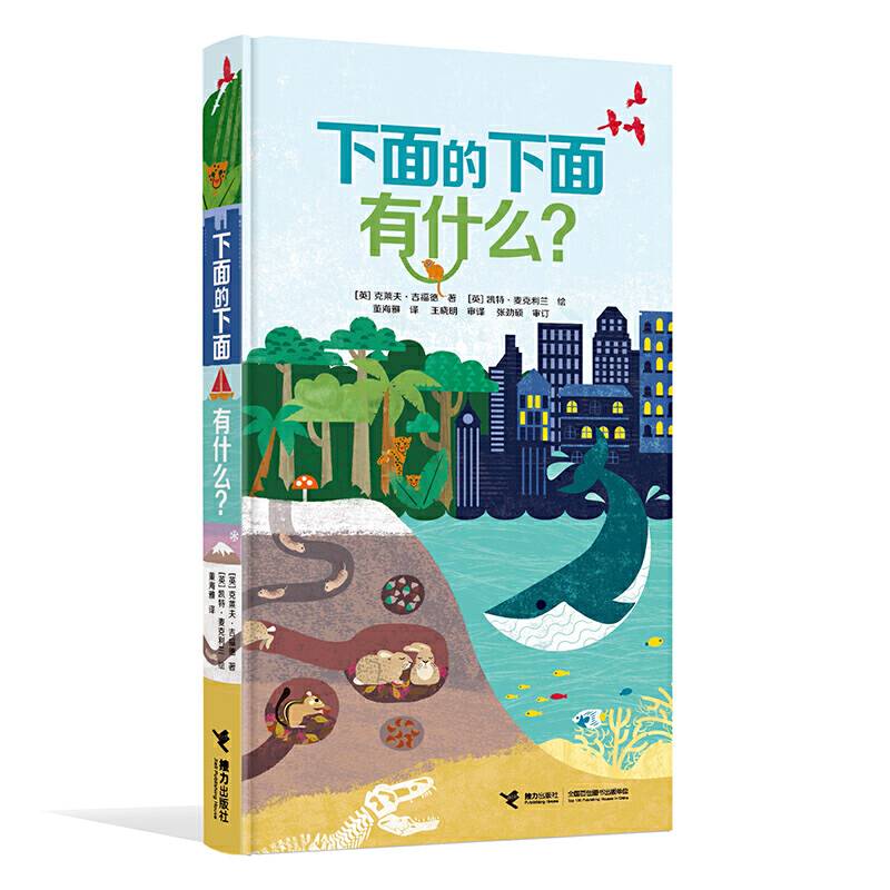 下面的下面有什么