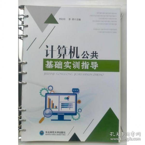计算机公共基础实训指导 李彩玲