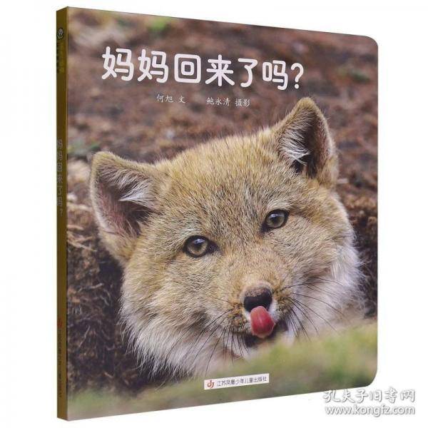妈妈回来了吗?