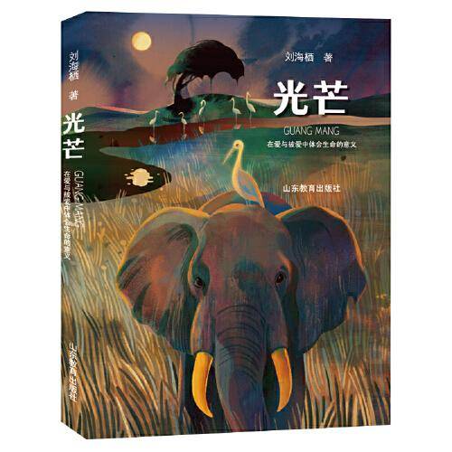光芒 有鸽子的夏天作者 刘海栖 陈伯吹国际儿童文学奖得主最新力作 小学生课外阅读 1-6年级课外读物