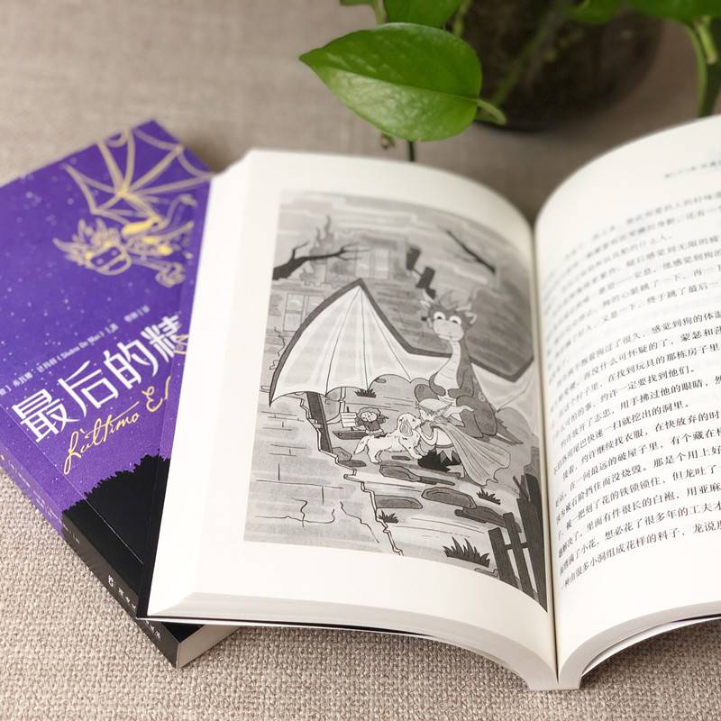 最后的精灵