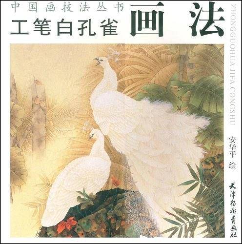 工笔白孔雀画法