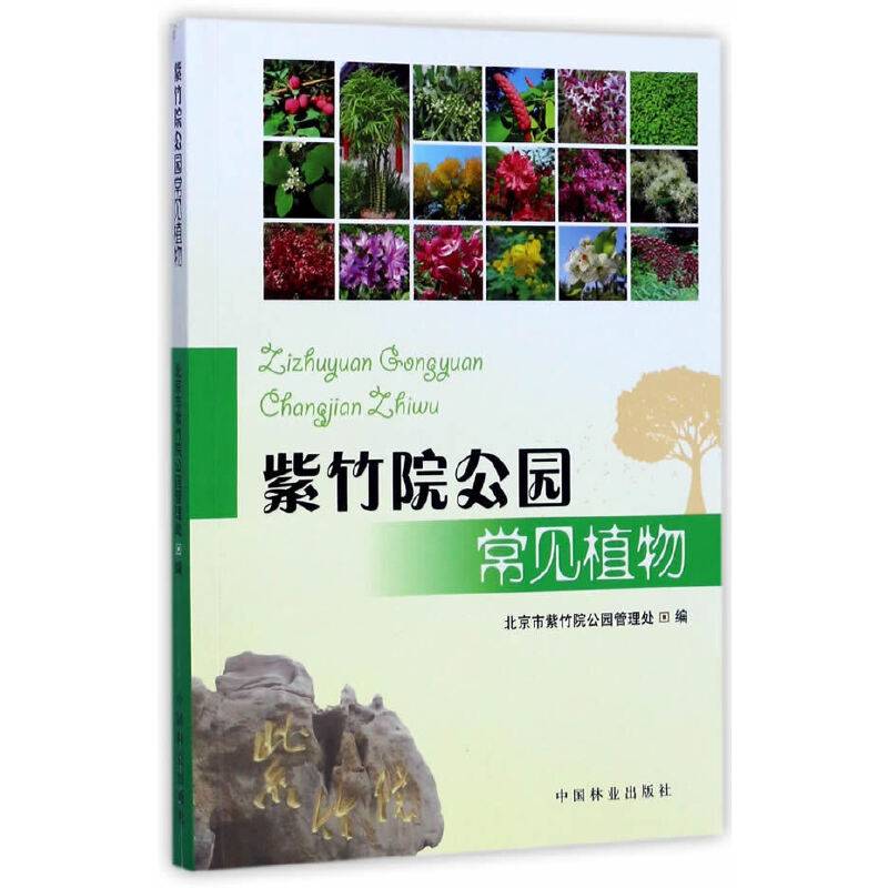 紫竹院公园常见植物