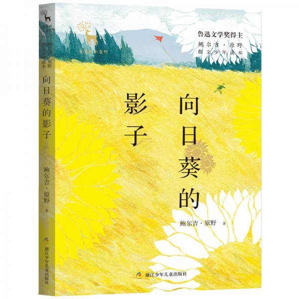 向日葵的影子