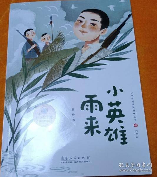 小英雄雨来