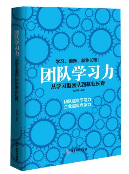 团队学习力