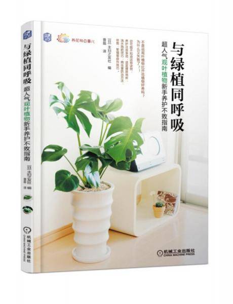 与绿植同呼吸：超人气观叶植物新手养护不败指南