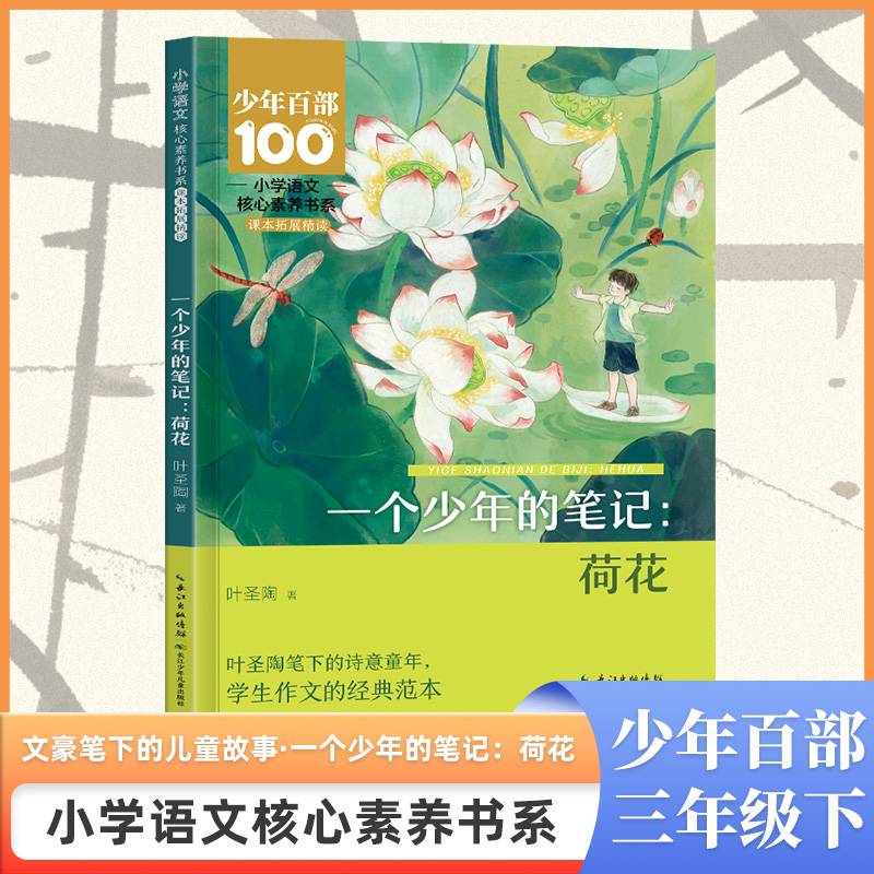 小学语文核心素养书系——一个少年的笔记：荷花