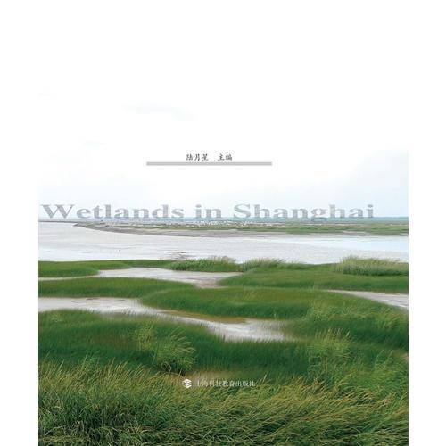 上海湿地