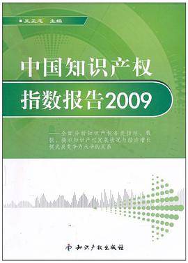中国知识产权指数报告2009