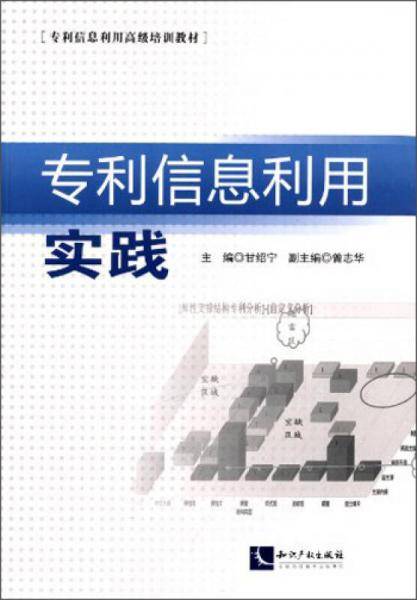 专利信息利用实践/专利信息利用高级培训教材