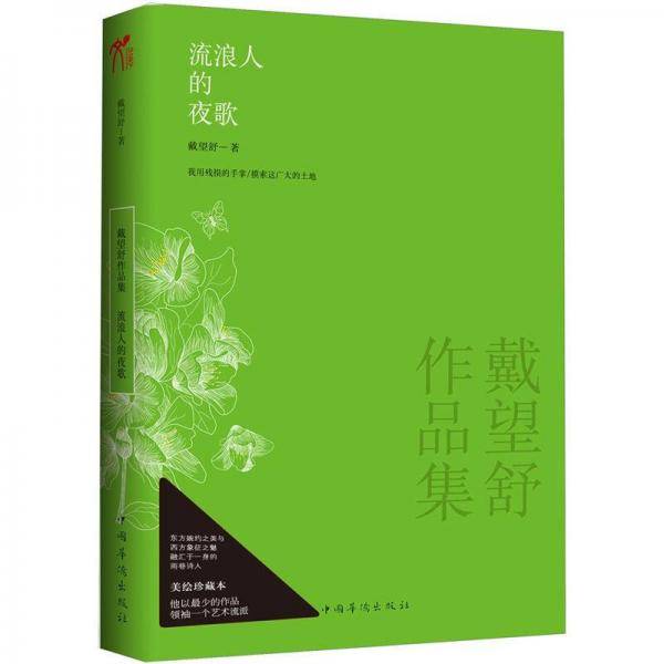 流浪人的夜歌