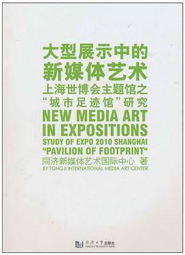 大型展示中的新媒体艺术