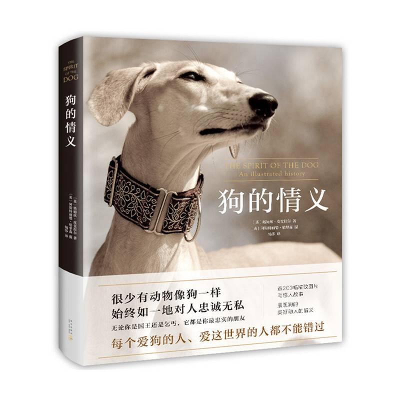 狗的情义