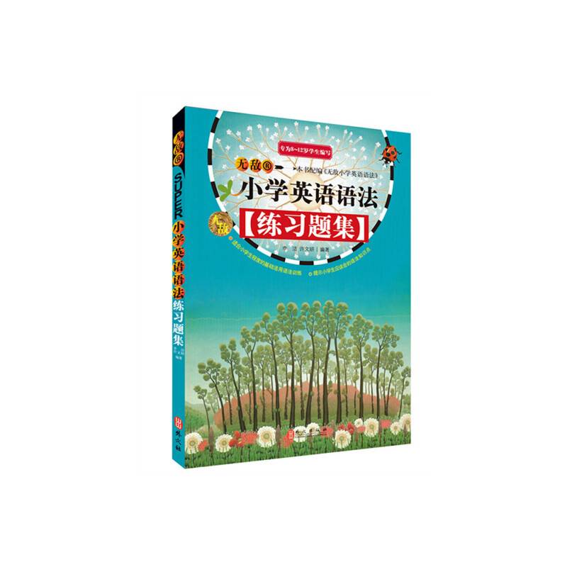 无敌小学英语语法练习题集 新版