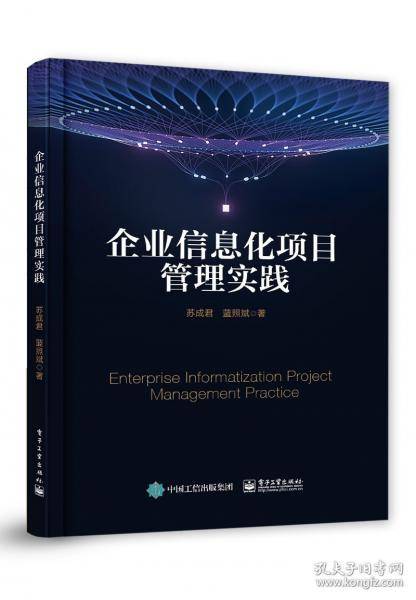 企业信息化项目管理实践