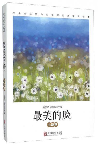 最美的脸（小说卷）