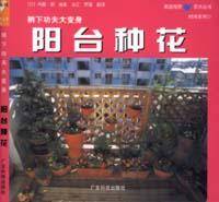阳台种花