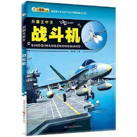 兵器王中王：战斗机