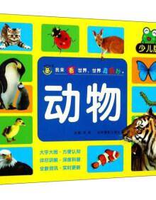 动物