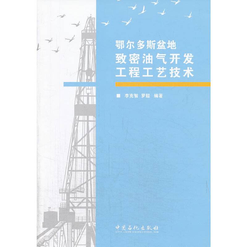 鄂尔多斯盆地致密油气开发工程工艺技术