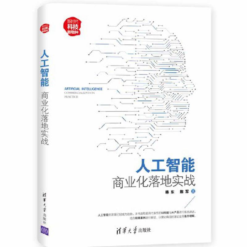 人工智能：商业化落地实战