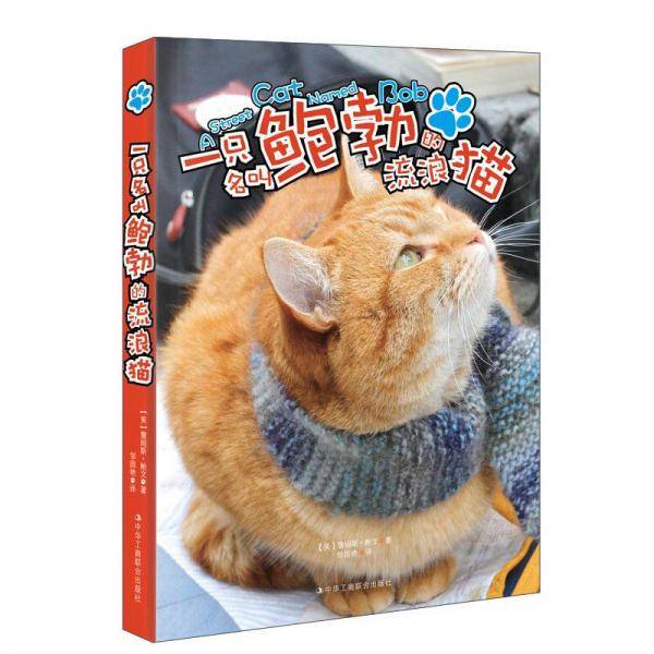 一只名叫鲍勃的流浪猫