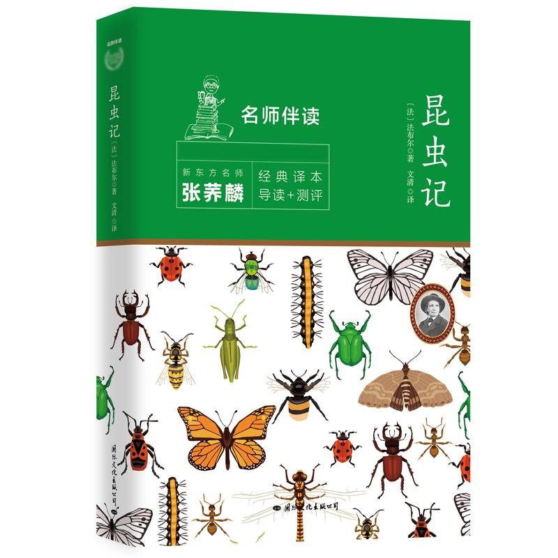 昆虫记 八年级上册 教育部（统）编语文教材指定推荐必读书目 名著阅读 新东方名师导读+测评版