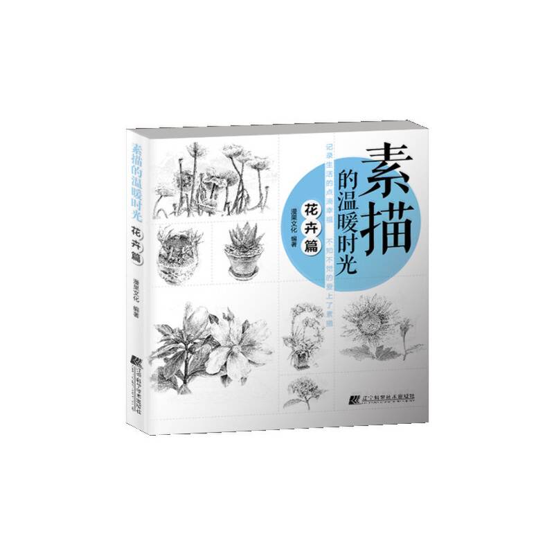 素描的温暖时光 花卉篇