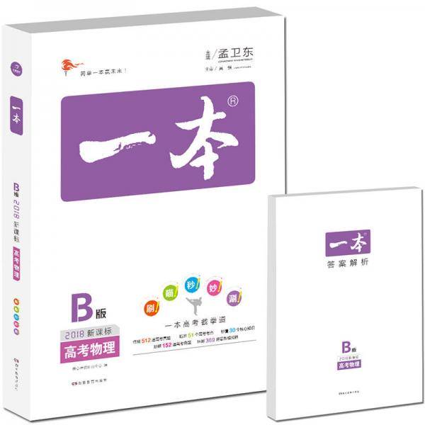 2018年 高考 一本高考物理 版 备考总复习