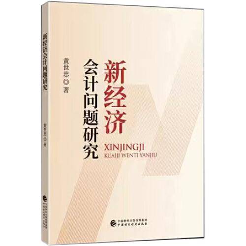 新经济会计问题研究