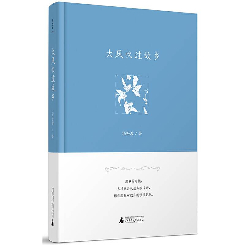 诗想者·散文诗  大风吹过故乡