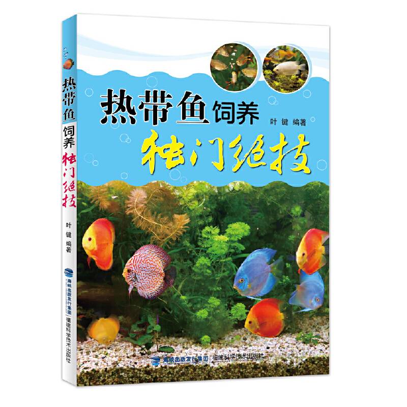 热带鱼饲养独门绝技