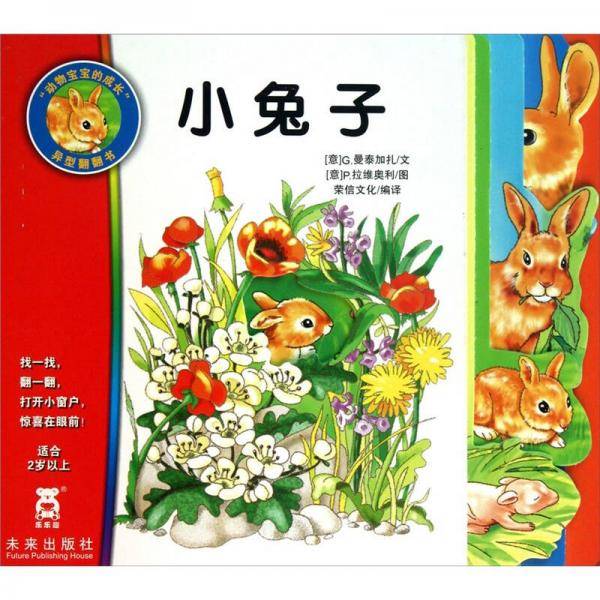 动物宝宝的成长